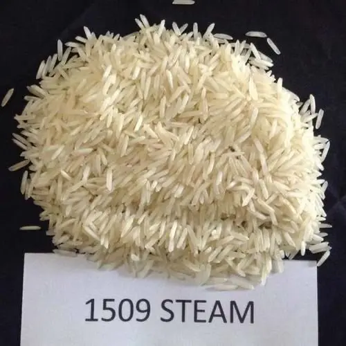 Steam